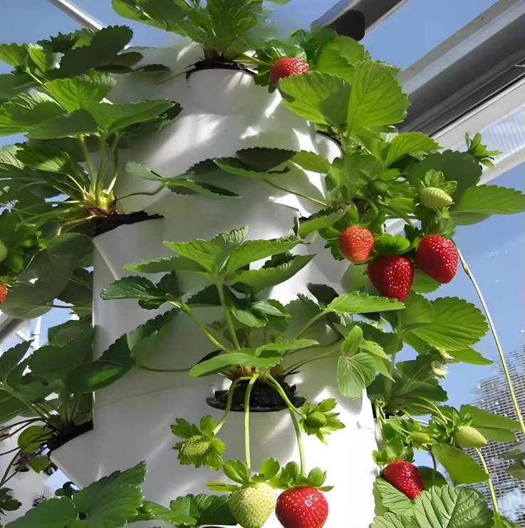 도시 농업용 모듈식 수경 재배 벽면 항공우주 시스템,  - Urban Farming Gardening 리뷰 및 가격
